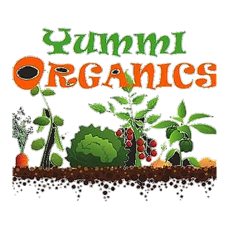 Yummi Organics - Fresh Organic Produce (Ecommerce-first Mockup) logo