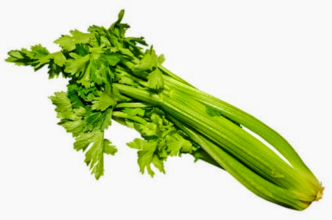 Table celery