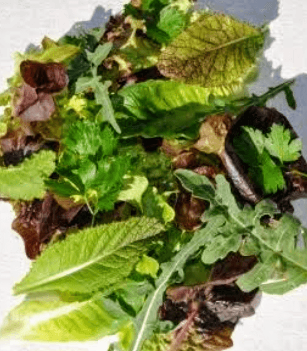 Salad pack