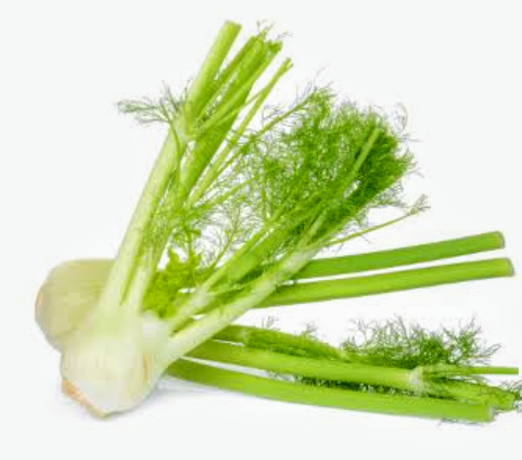 Fennel