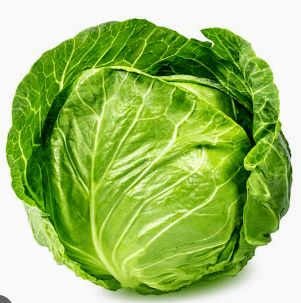 Green Cabbage