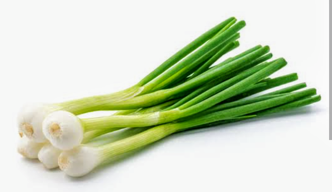 White spring onion