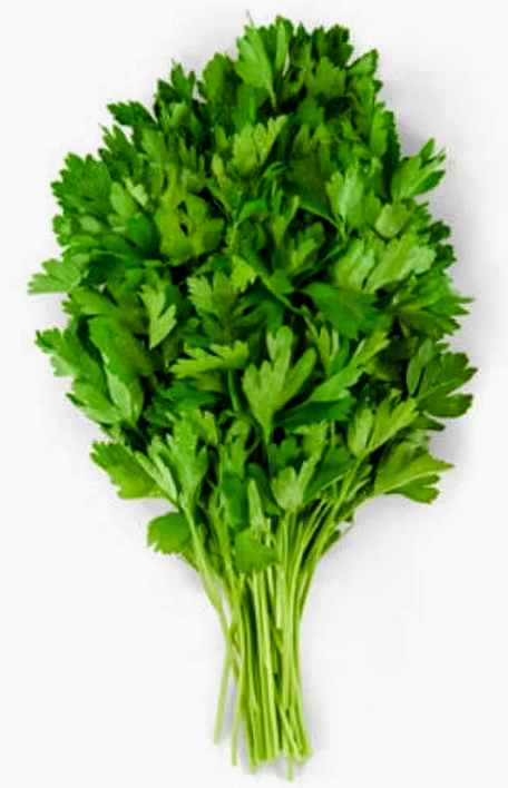 Italian parsley