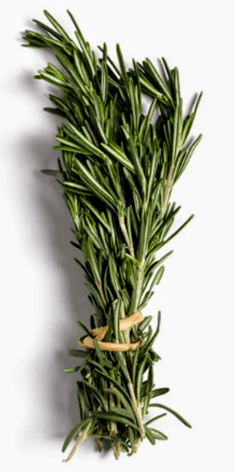 Rosemary