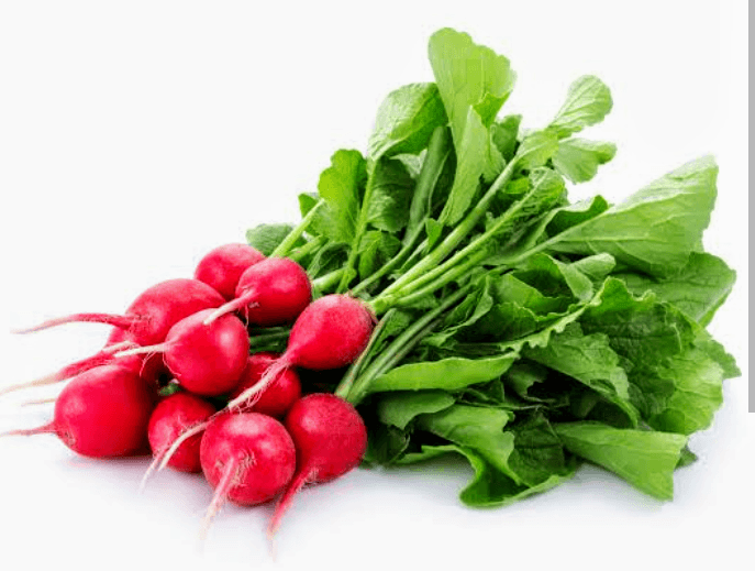 Radish