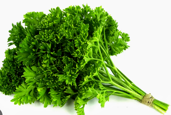 Moss cureld parsley