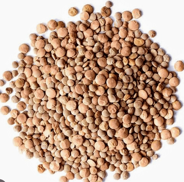 Brown lentils